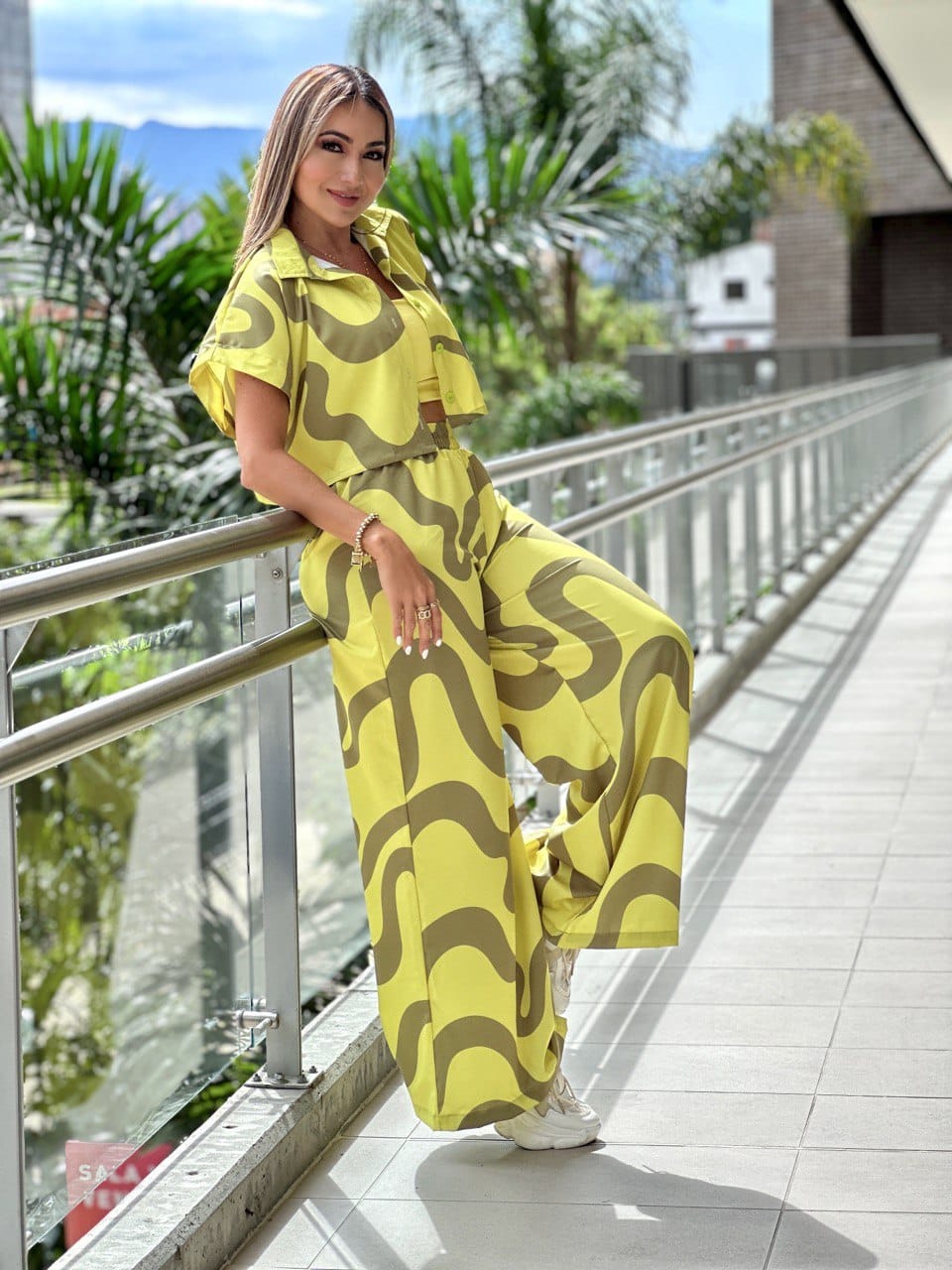 3-595 Conjunto curvas